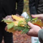 Bäume und der Klimawandel