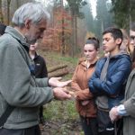 Infos zum Borkenkäfer